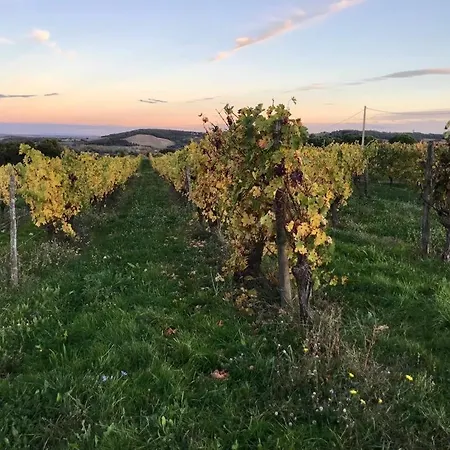 Escapade Dans La Campagne Toulousaine Bed & Breakfast *