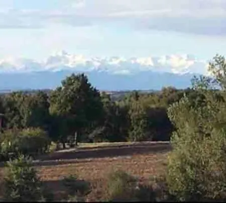 Escapade Dans La Campagne Toulousaine *